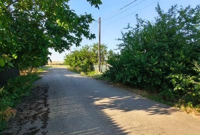 Teren Construcții intravilan de 1050 mp, în Pecineaga - 6