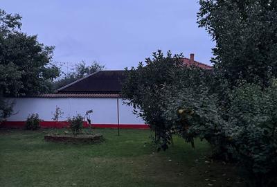 Casă cu 5 camere cu Teren 794 Mp în Mihail Kogălniceanu - 15