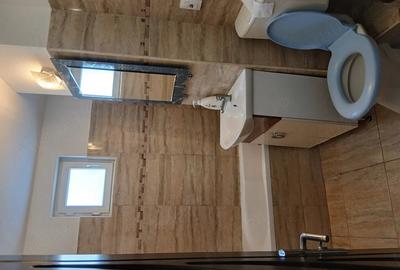 Apartament cu 2 camere decomandat în Precista - 3
