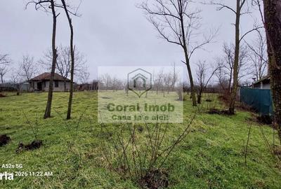 Casă cu 2 camere cu Teren 2016 Mp în Traian - 6