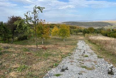 Teren de 3744 mp, în Gheorghieni - 3