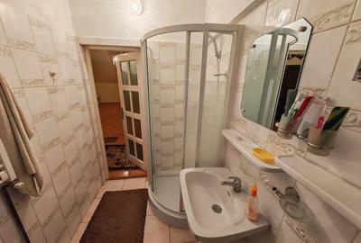 Casă cu 2 camere cu Teren 376 Mp în Elisabetin - 11