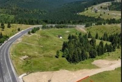 Teren de 3500 mp, în Tiha Bârgăului - 13