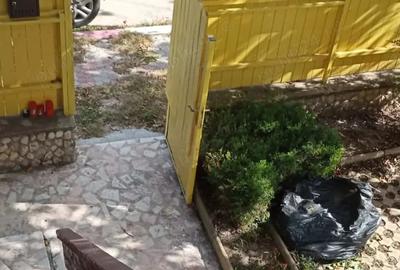 Casă cu 6 camere cu Teren 233 Mp în Central - 14