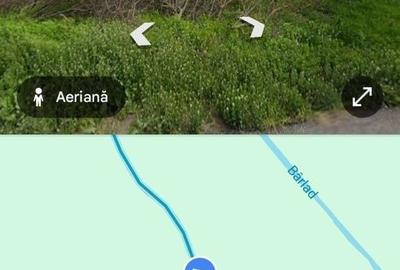 Teren de 10000 mp, în Lunca