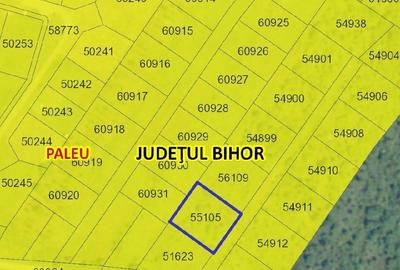 Teren de 1000 mp, în Săldăbagiu de Munte - 3