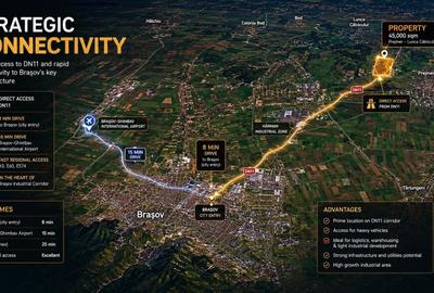 Teren Construcții intravilan de 45000 mp, în Prejmer - 2