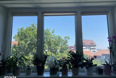 Apartament cu 2 camere decomandat în Zorilor - 3