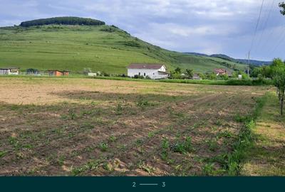 Teren de 2900 mp, în Nicula