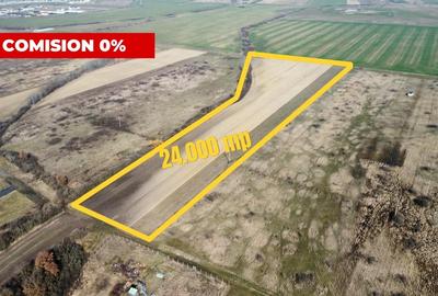 Teren Construcții extravilan de 24000 mp, în Moșnița Nouă - 2