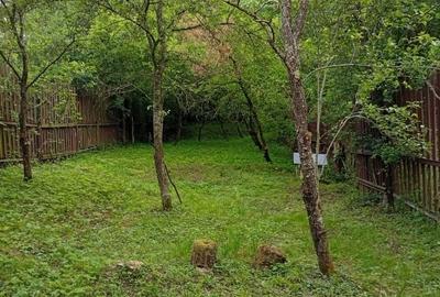 Casă cu 2 camere în Veștem