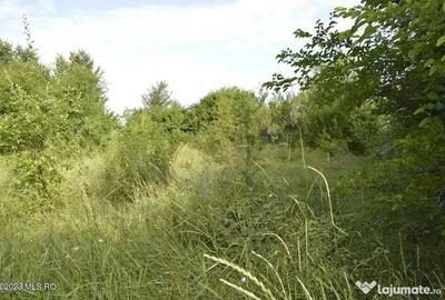 Teren de 4700 mp, în Suseni - 12