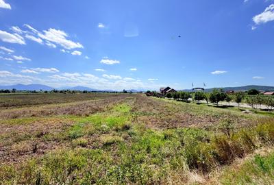 Teren intravilan de 5000 mp, în Podu Oltului