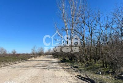 Teren de 6000 mp, în Petrești - 6