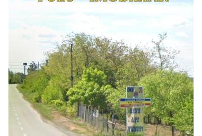 Teren Construcții intravilan de 3000 mp, în Topalu - 6