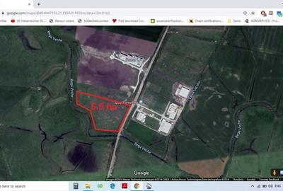 Teren de 55000 mp, în Cornești - 5