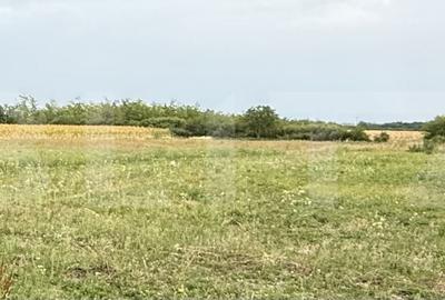 Teren de 500 mp, în Odoreu