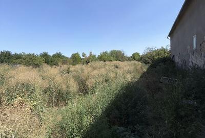 Casă cu 3 camere în Bulgăruș - 5