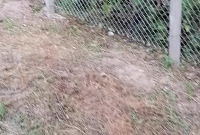Casă cu 4 camere în Budănești - 3
