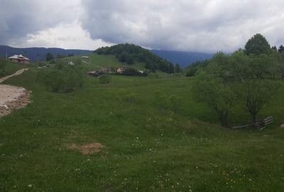 Spațiu comercial, în Dâmbovicioara - 9