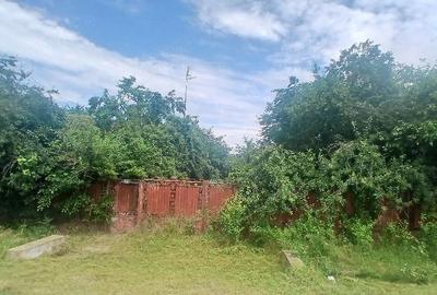 Teren de 1500 mp, în Piorești - 1