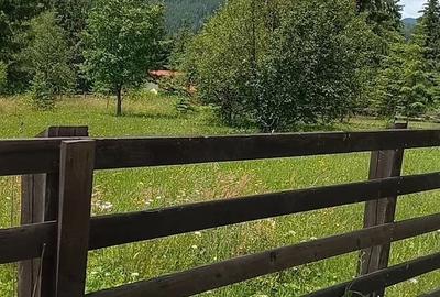 Teren de 1000 mp, în Șaru Dornei