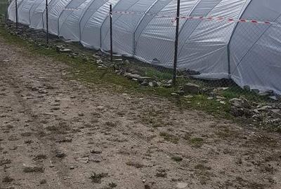 Casă cu 3 camere în Hangu - 1