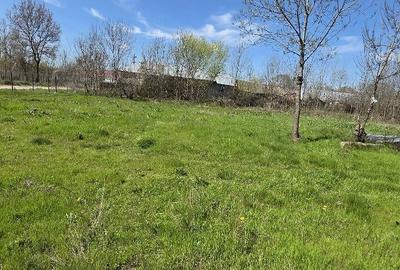 Casă cu Teren 1550 Mp în Ștorobăneasa - 4