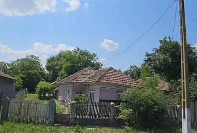 Casă în Central - 6
