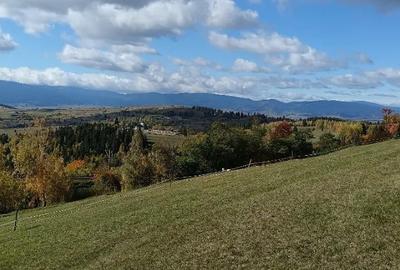 Teren de 4000 mp, în Livezi - 1