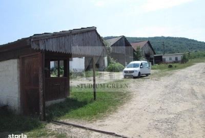 Spațiu comercial, în Șopotu Vechi