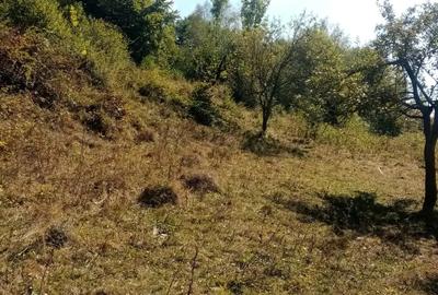 Teren de 6209 mp, în Lelese - 2