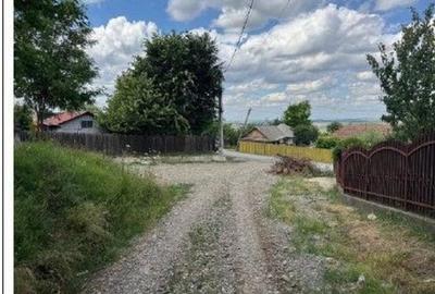 Casă cu 3 camere cu Teren 1481 Mp în Mogoșești - 12