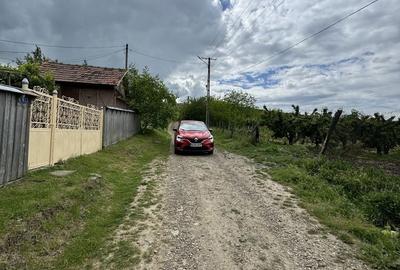 Spațiu comercial, în Covasna - 8