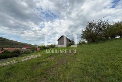 Teren Construcții intravilan de 2100 mp, în Căianu - 3