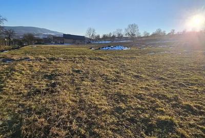 Teren de 3100 mp, în Dumitra