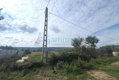 Teren Construcții intravilan de 3250 mp, în Betfia - 5