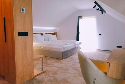 Hotel/Pensiune, de 30 mp, în Mărișel - 9