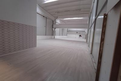 Spațiu industrial, de 1,740 mp, în Vest - 7