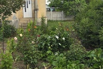 Casă cu 4 camere în Izvoare - 4