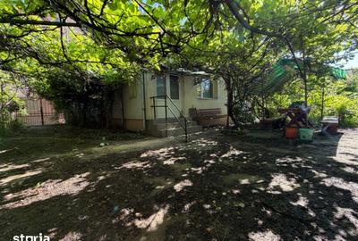 Casă cu 3 camere cu Teren 636 Mp în Cetate - 10