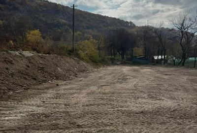 Teren de 8000 mp, în Păuliș - 3