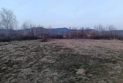 Teren de 10000 mp, în Merișor - 5