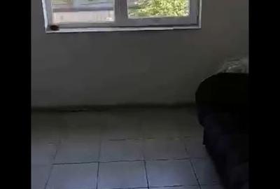 Casă cu 4 camere cu Teren 2600 Mp în Udești - 4