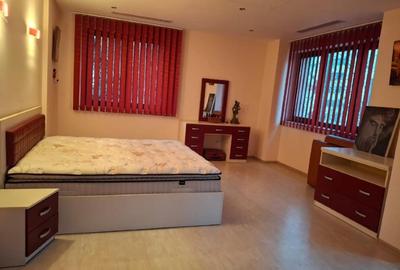 Casă individuală cu 10 camere cu Canalizare în Tineretului - 11