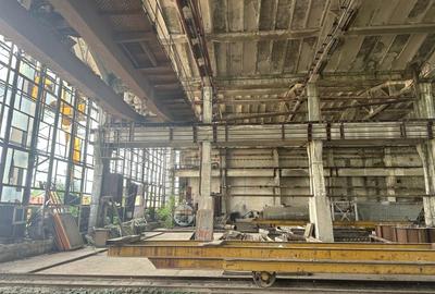 Teren Construcții intravilan de 55228 mp, în Mihai Bravu - 13