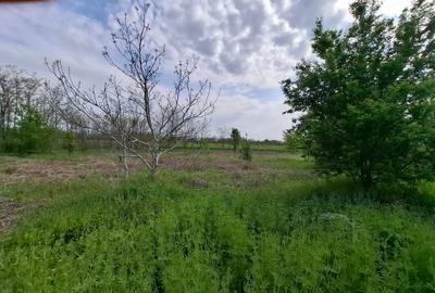 Teren Construcții intravilan de 3500 mp, în Periș - 5