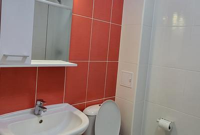 Garsonieră semidecomandată, mobilată în Theodor Pallady - 3