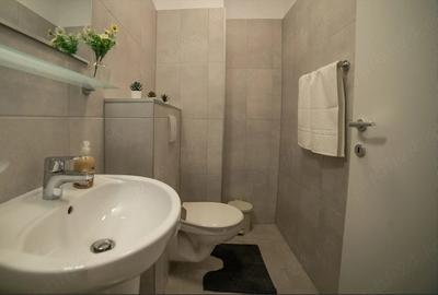 Apartament cu 3 camere decomandat în Dumbrăvița - 3