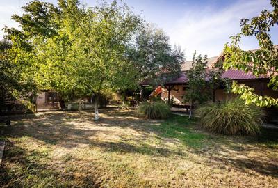 Casă cu 2 camere în Zădăreni - 6
